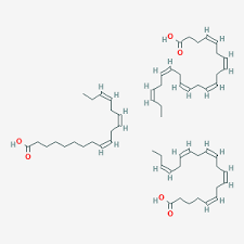 Image result for Fatty Acid