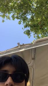 Daniel Timon (timon_daniel)