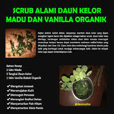 Scrub Daun Kelor Madu Dan Vanilla Powder Organik Pelembap Kulit Kelor Ikatan Logam