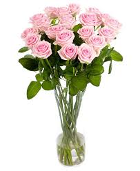 Shop the top 25 most popular 1 at the best prices! Soft Pink Long Stemmed Roses