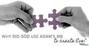 We did not find results for: Why Did God Use Adam S Rib To Create Eve Gotquestions Org