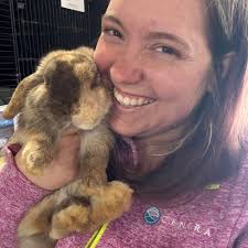 Where to find a breeding age plush loo doe?