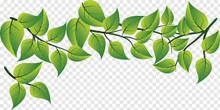 You may also like fall leaf or leaf fall clipart! Green Leaves Clipart Png Clip Art Catherine Place