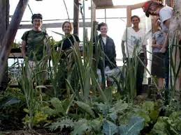 This page links to production information and resources for backyard gardeners and food producers. Getting Started In Backyard Food Production Laughing Dog Farm