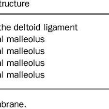 Objective to study the traumatic mechanism and clinical treatment of maisonneuve fracture. Pdf Pathoanatomy And Injury Mechanism Of Typical Maisonneuve Fracture