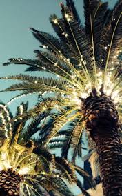 Pin By Marta Almao On Summer Inspiration Christmas Palm Tree Palm Trees Palm