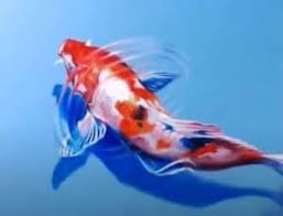 Greatbigcanvas.com has been visited by 100k+ users in the past month How To Draw A Realistic Koi Fish Step By Step