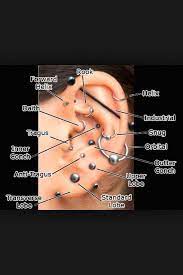 All The Possible Places To Get Your Ears Pierced Types Of Ear Piercings Piercings For Girls Cool Ear Piercings