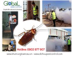 Việt nam pest control là chuyên gia diệt côn trùng gây hại hàng đầu việt nam. Dá»‹ch Vá»¥ Diá»‡t Gian Giáº£i Phap Diá»‡t Gian Ä'á»©c Hiá»‡u Quáº£ Cháº¥t LÆ°á»£ng
