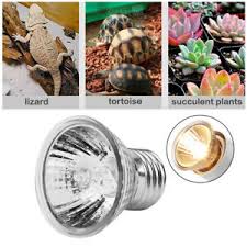 75w Heat Lamp Night Light Bulb For Pet Snake Lizard Frog Turtle Reptile Ebay