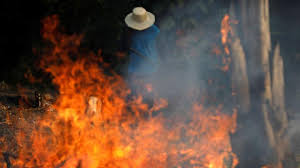 Kebakaran hutan terjadi dengan disengaja maupun tanpa disengaja. Selain Hutan Amazon Hutan Johor Di Malaysia Juga Terbakar Dunia Tempo Co