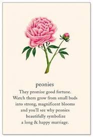 Weddingflowers Wedding Flowers Peonies Language Of Flowers Flower Meanings Peony Meaning