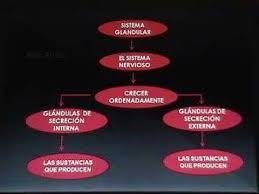 Los pueblos indígenas de méxico, le abren las puertas al mundo. Mapa Conceptual Youtube