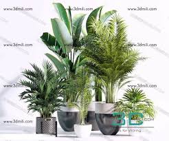 431 Plant 3dsmax File Free Download 3d Mili Download 3d Model Free 3d Models 3d Model Download Plants File Free Cactus Plants