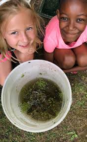 Bartlett Arboretum & Gardens Donor Honor Roll 2019-20