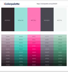 Before we start picking out color combinations, it's a good idea to have a basic understanding of a monochrome color combination is different variations of a single hue. 39 Latest Color Schemes With Black And Hot Pink Color Tone Combinations 2021 Icolorpalette