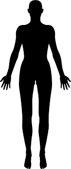 Maybe you would like to learn more about one of these? Female Body Silhouette Icons Png Free Png And Icons Downloads