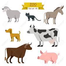 Flat Design Vector Farm Animals Icon Set Sheep Cat Donkey Binatang Inspirasi Desain Grafis Grafis
