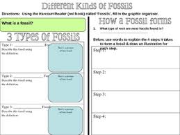 Fossils Graphic Organizer Interactive Science Notebook Science Education Science Notebooks