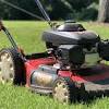 Our professionals know very well that every lawn needs special care. 1