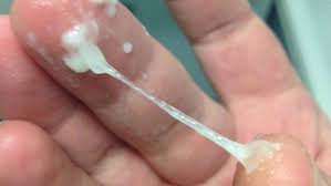 Clear watery discharge before, during and after ovulation can be a way to tell if you are in your fertile period. What Can Cause A Watery Discharge During Ovulation Quora