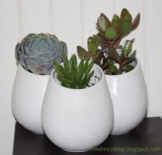Minimoz Ikea Succulent S Succulents Hanging Pots Desk Plants