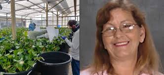 Florida State Horticultural Society