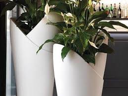 Fiberglass Manavgat 2020 Saksi Bufeler Antalya