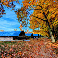 Long Point Eco-Adventures Resort & Retreat Centre (@longpointecoadv) ·  Instagram 照片和视频