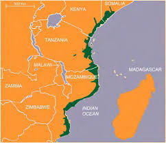 Image result for Nectaropetalum carvalhoi