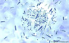 Learn the signs and symptoms of legionella, including cough, shortness of breath, and fever. Legionarskrankheit Meine Gesundheit