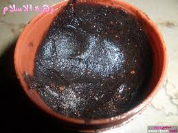 تجربتى مع نبات السعد احلى بنات