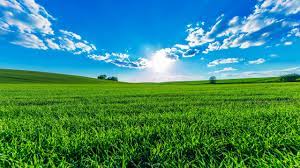 æ¸æ°é³åç°éå¤§èåæ¡é¢å£çº¸å¾ç- tt98å¾çç½