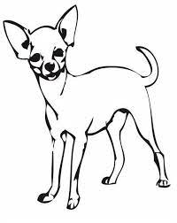This is ironpower publishing's second volume in the precious pooches dog coloring books series. Chihuahua Coloring Pages Best Coloring Pages For Kids