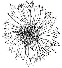 We did not find results for: Small Sunflower Line Art Novocom Top