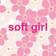 Soft Girl Dictionary Com