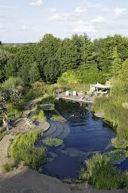 Natural Swimming Pool Trend Cleanwater Pools That Blend With Your Landscape Part 2 Shairoom Com Natural Swimming Ponds Natural Pool Natural Swimming Pool