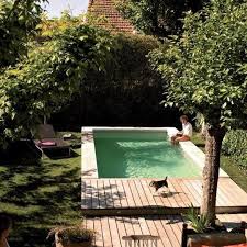 Piscine Dans Un Petit Jardin Idees Et Inspirations Amenagement Jardin Terrasse Piscine Mini Piscine Piscine Et Jardin