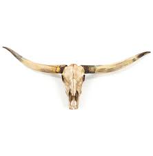 Texas Longhorn Steer Skull Rustic Lodge Reproduction Wall Mount Sculpture Skull Wall Decor Longhorn Skull Bull Skulls