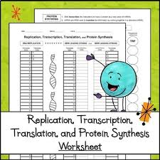 T g t transcription mrna: Replication Transcription And Translation Mini Bundle Activities Worksheet