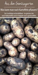 Was Kann Man Nach Kartoffeln Pflanzen Fruchtfolge Gruneliebe Kartoffeln Pflanzen Fruchtfolge Pflanzen