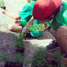 Image result for how to take care of the environment