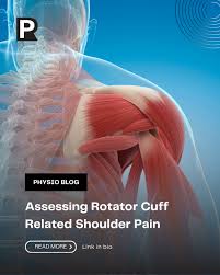 Image result for Shoulder History