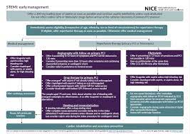 The payment card industry data security standard (pci dss) is an information security standard for organizations that handle branded credit cards from the major card schemes. Overview Acute Coronary Syndromes Guidance Nice