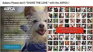 Pin On Saving Animals