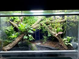 Tinctorius Oyapock Terrarium Reptile Terrarium Frog Terrarium Snake Terrarium