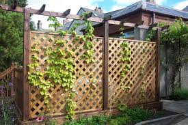 Sehr hochwertig und ewig haltbar. Stilvolle Rankgitter Fur Ihren Hof Und Garten
