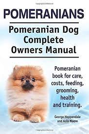 Pin On Exploring Image Pomeranian