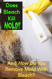 Pin On Mold Help For You Articles