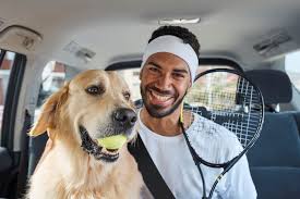 We did not find results for: Uber Welcomes Canberra Pets On Board Canberra Weekly